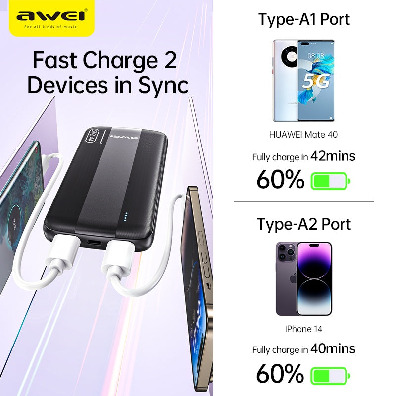 AWEI Smart Multi Output Power Bank